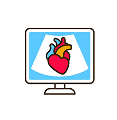  Echocardiography Hosital bilaspur